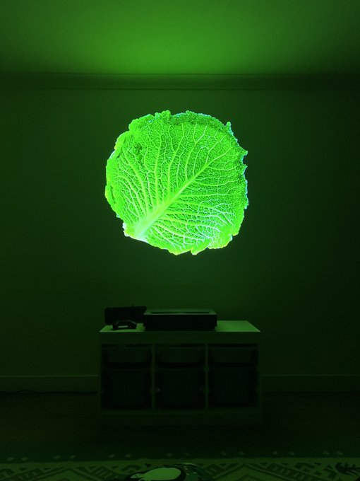 A short-throw projector displaying a large image of a cabbage.